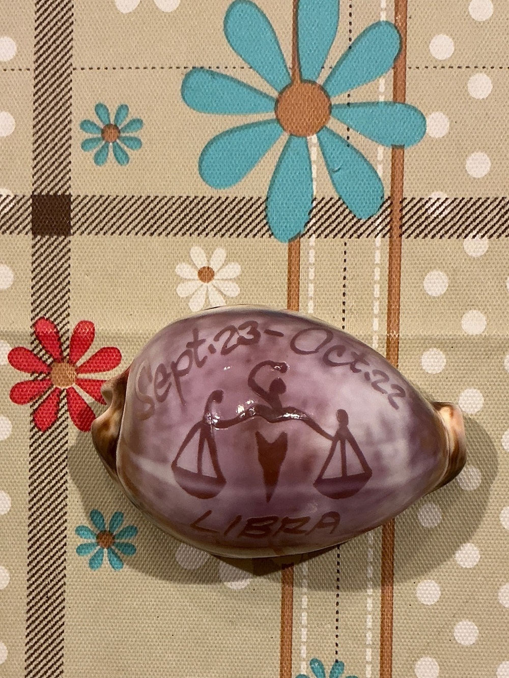 Libra Decorative Shell Accent